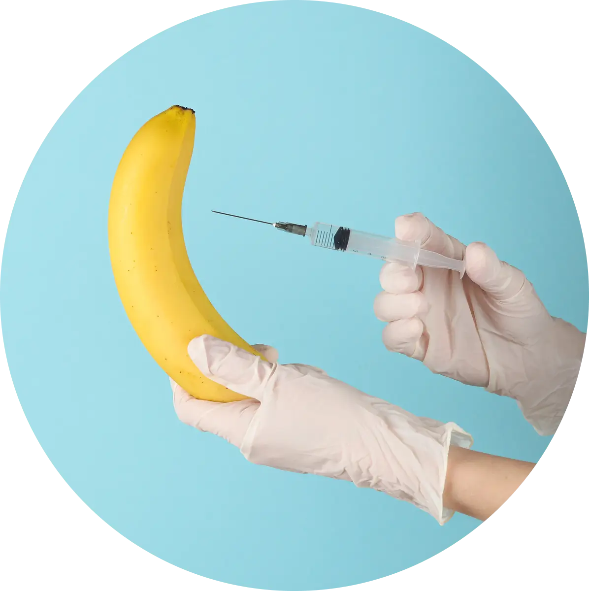 Program : ErecTra Max